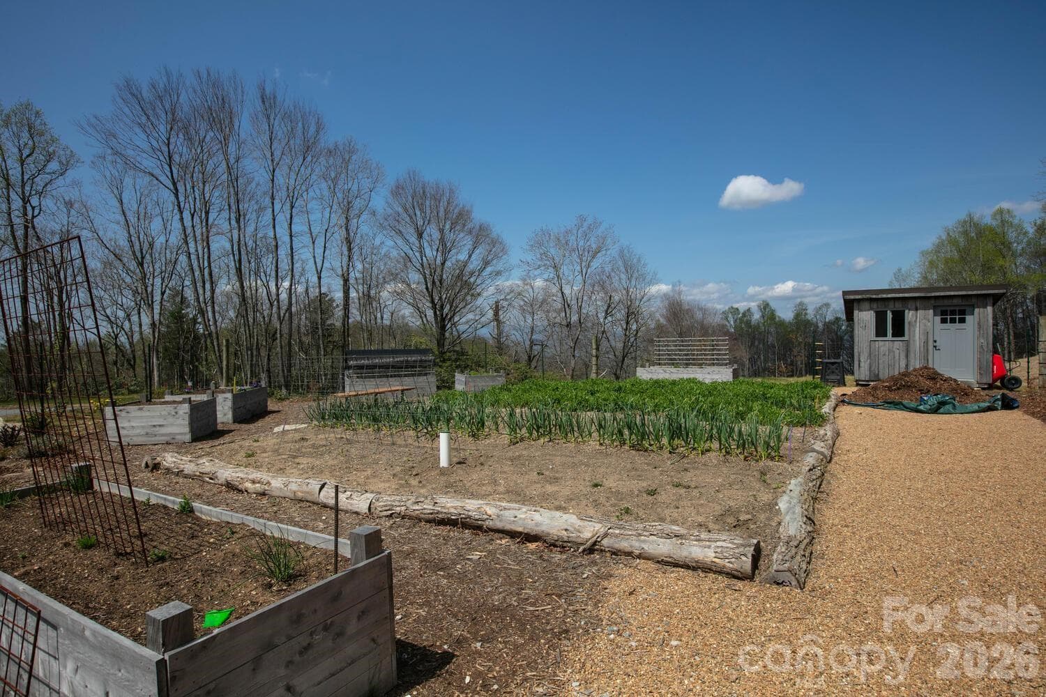Community Farm - Fletcher