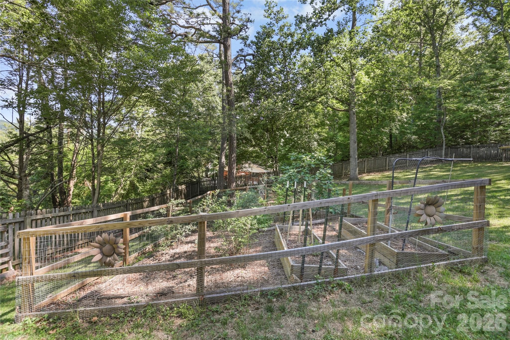 Established garden in separate fenced area - 38 Nixon Terrace, Asheville