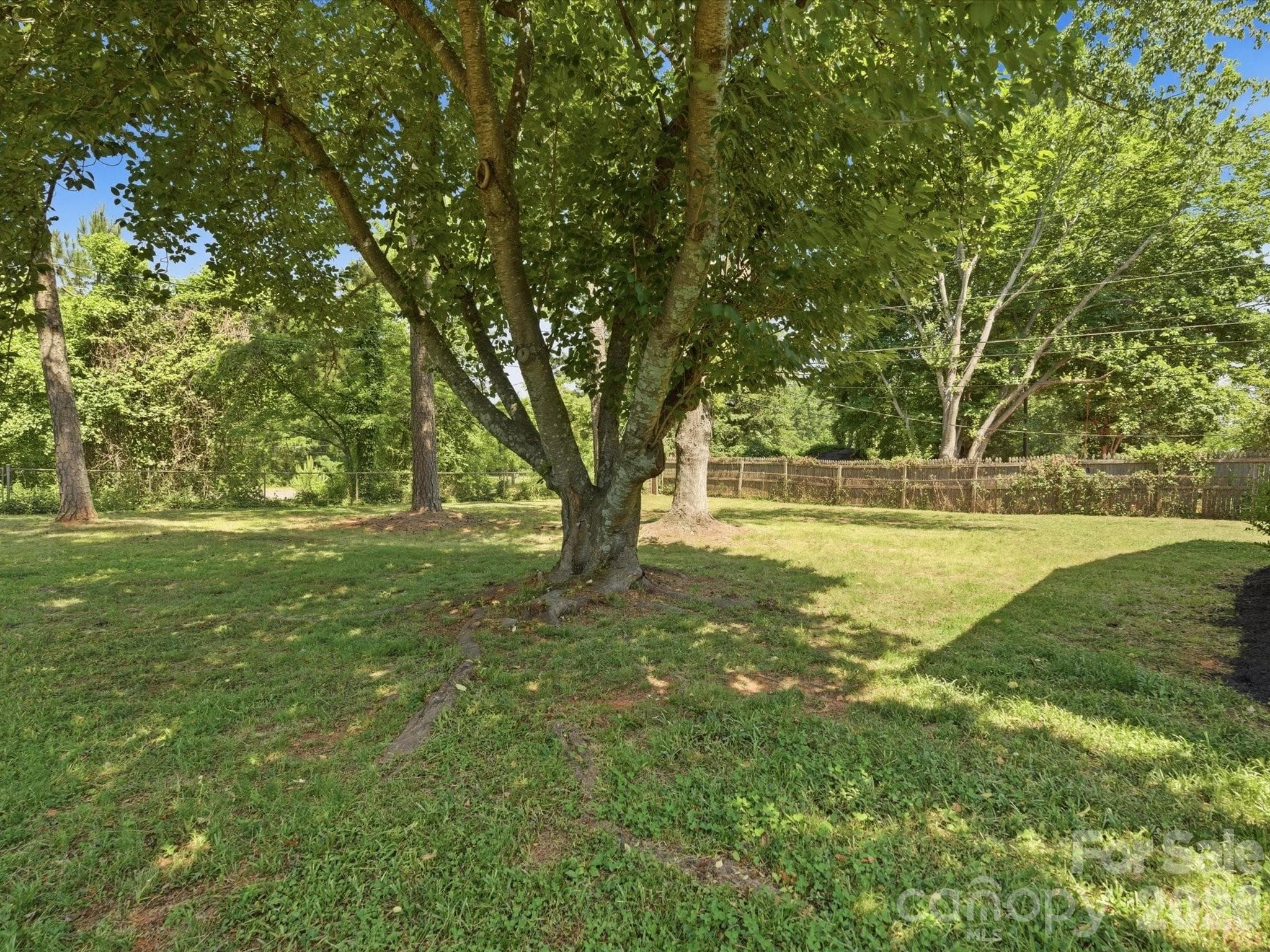 Back Yard - 3633 Rosehaven Drive, Charlotte