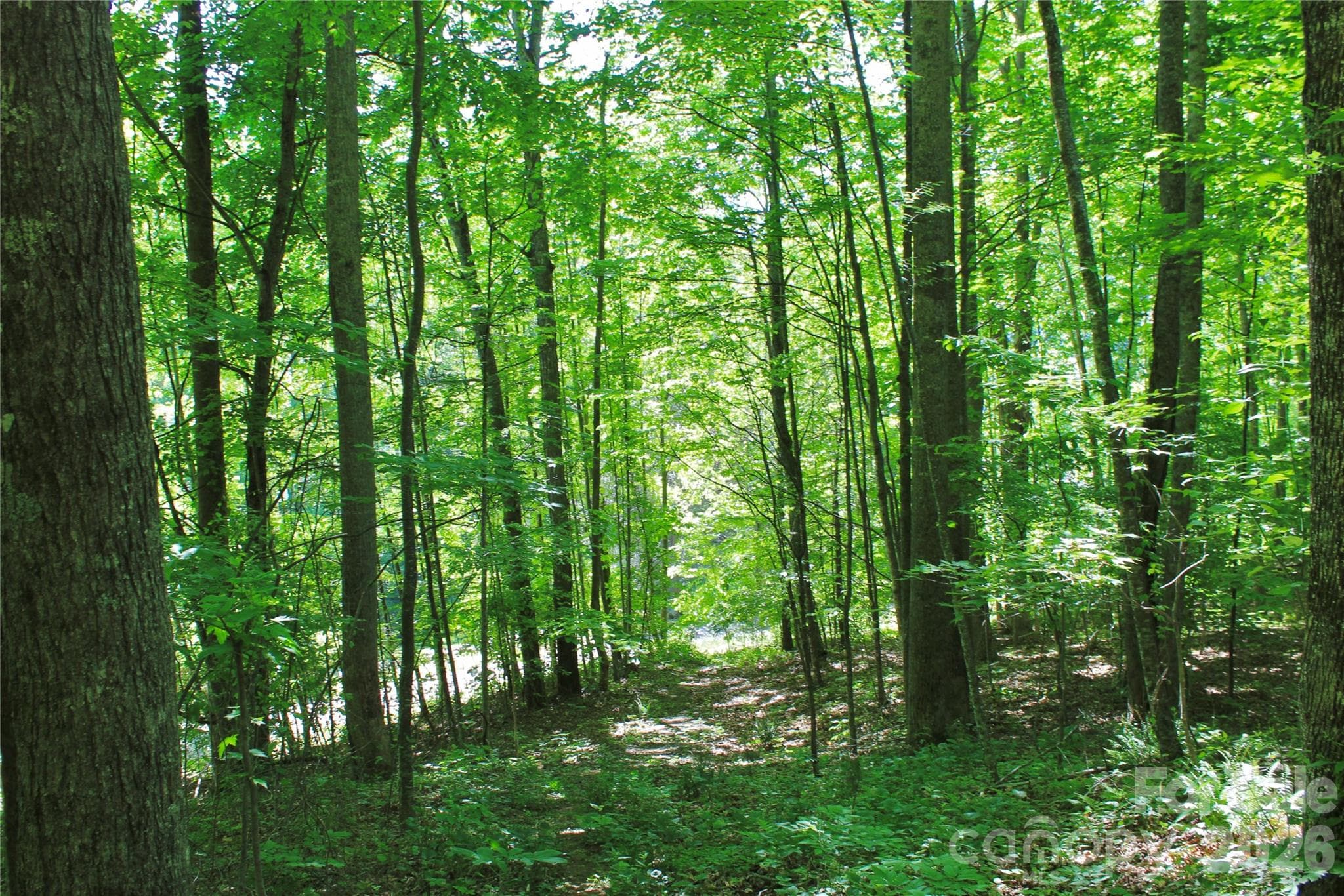 Acreage at Burnsville, photo 4 of 14