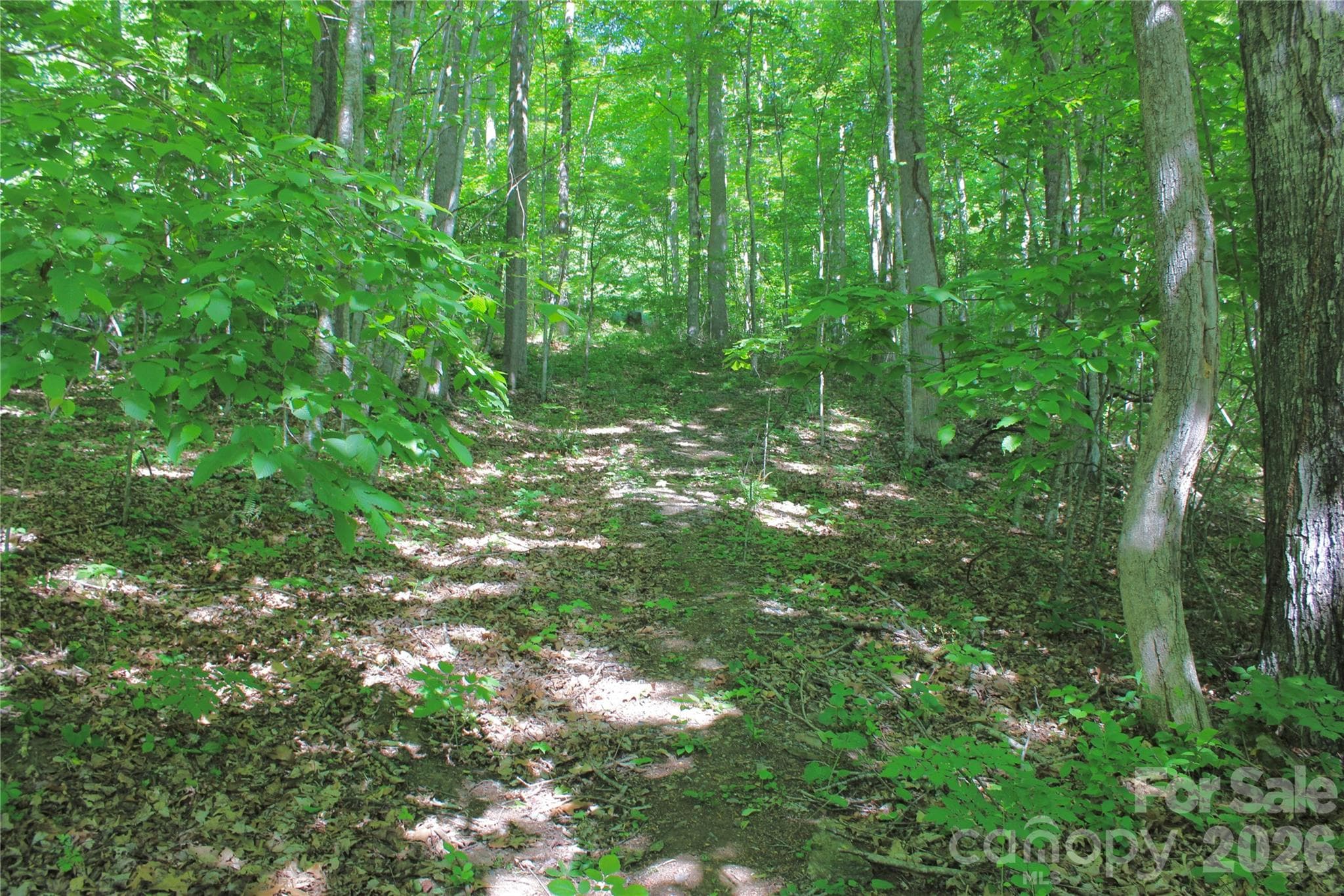 Acreage at Burnsville, photo 2 of 14