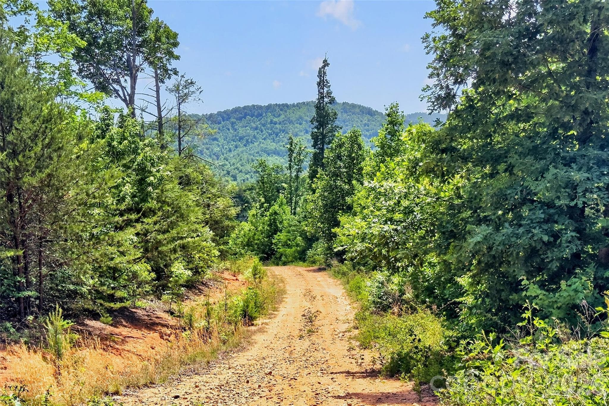 Acreage at 272 Randolph Drive, Marion, photo 4 of 29
