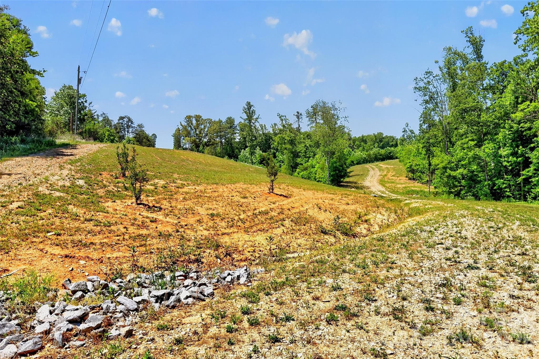 Acreage at 272 Randolph Drive, Marion, photo 6 of 29