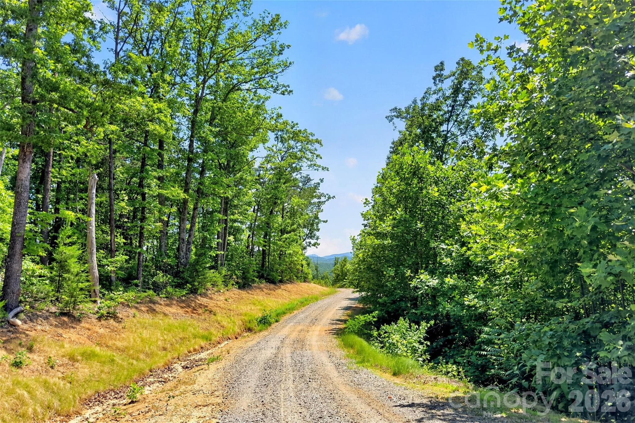 Acreage at 272 Randolph Drive, Marion, photo 9 of 29