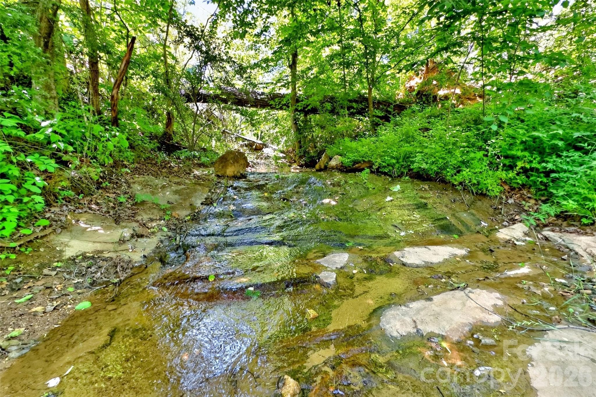 Acreage at 272 Randolph Drive, Marion, photo 13 of 29