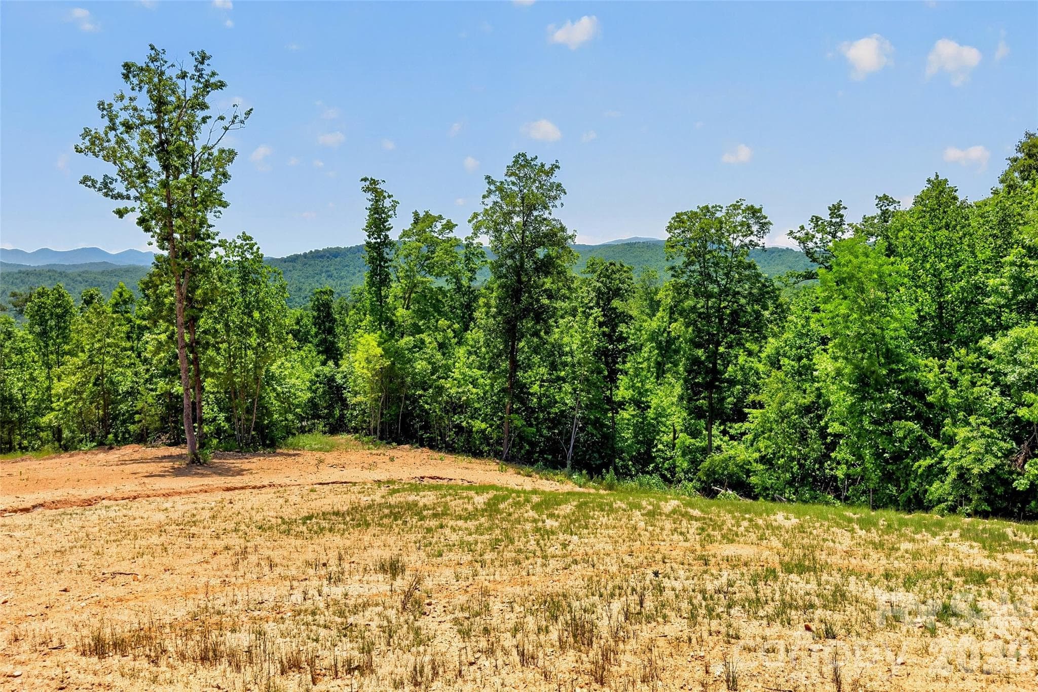 Acreage at 272 Randolph Drive, Marion, photo 19 of 29