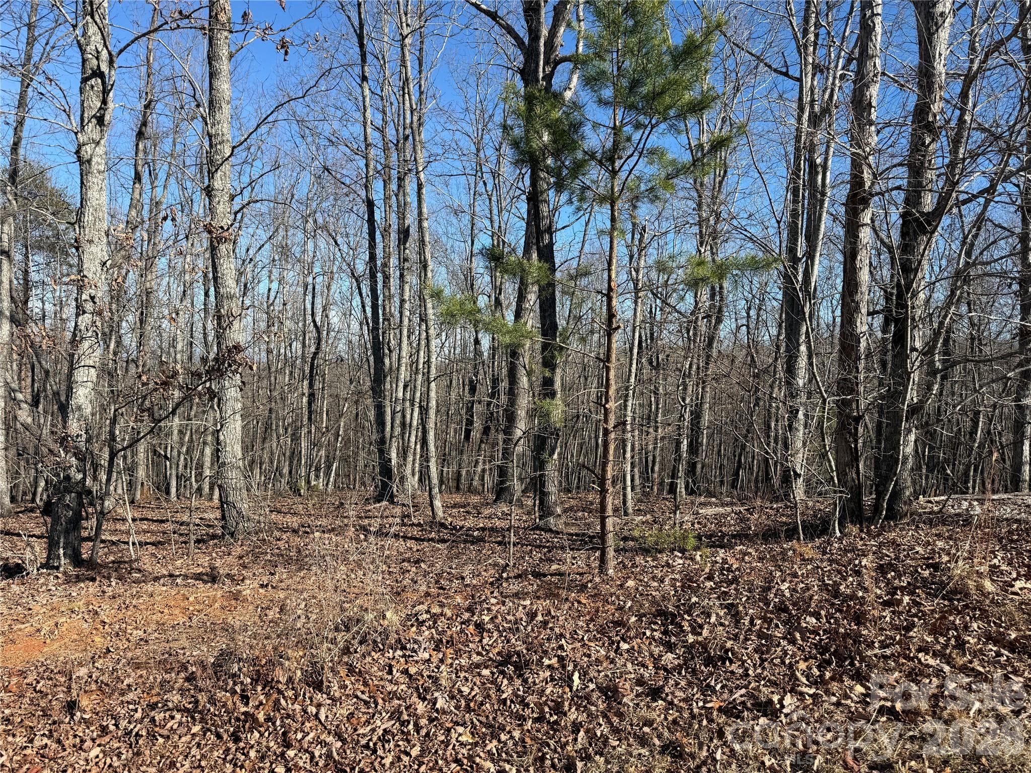 Lot at Nebo, photo 2 of 23