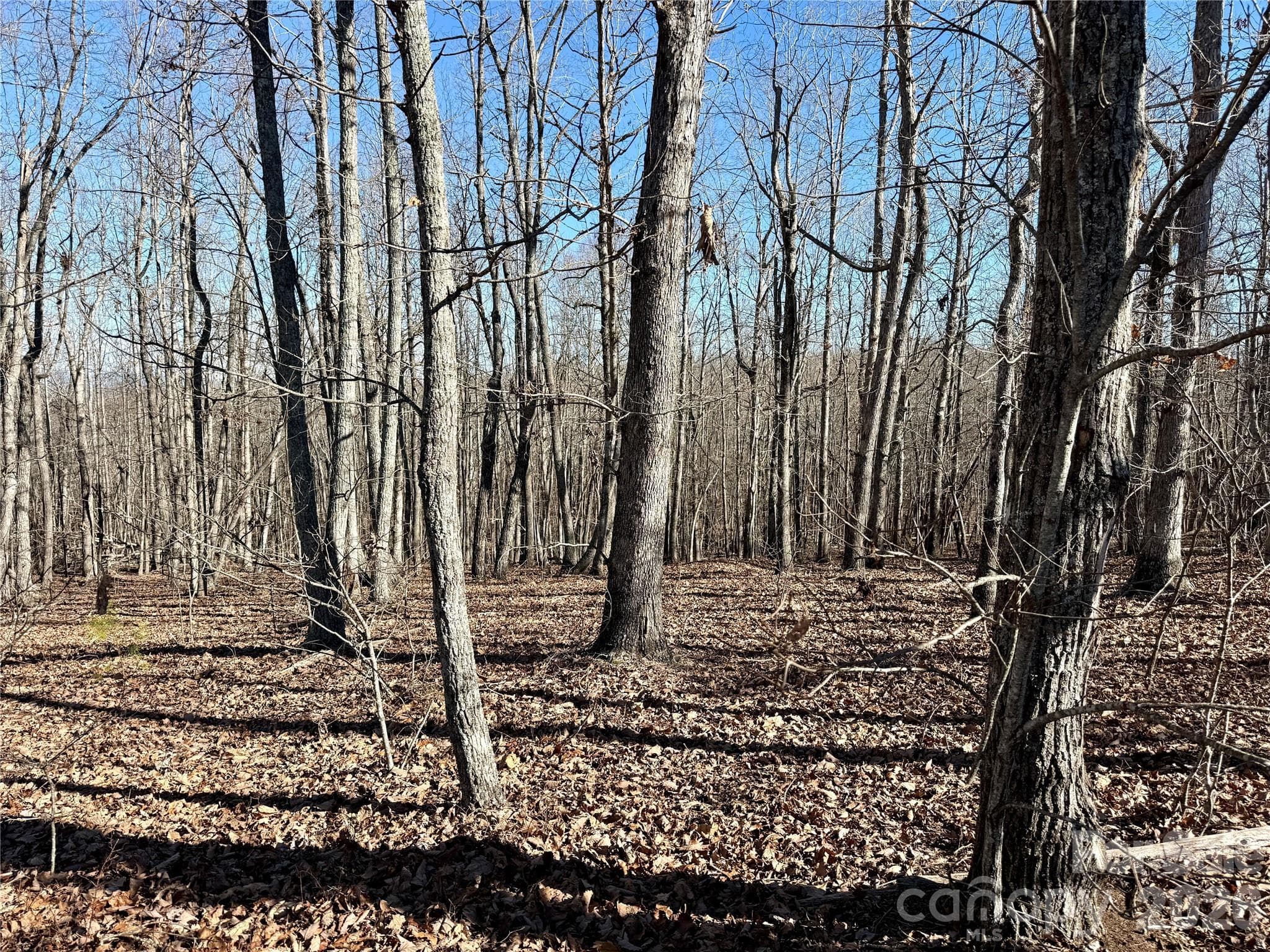 Lot at Nebo, photo 3 of 23