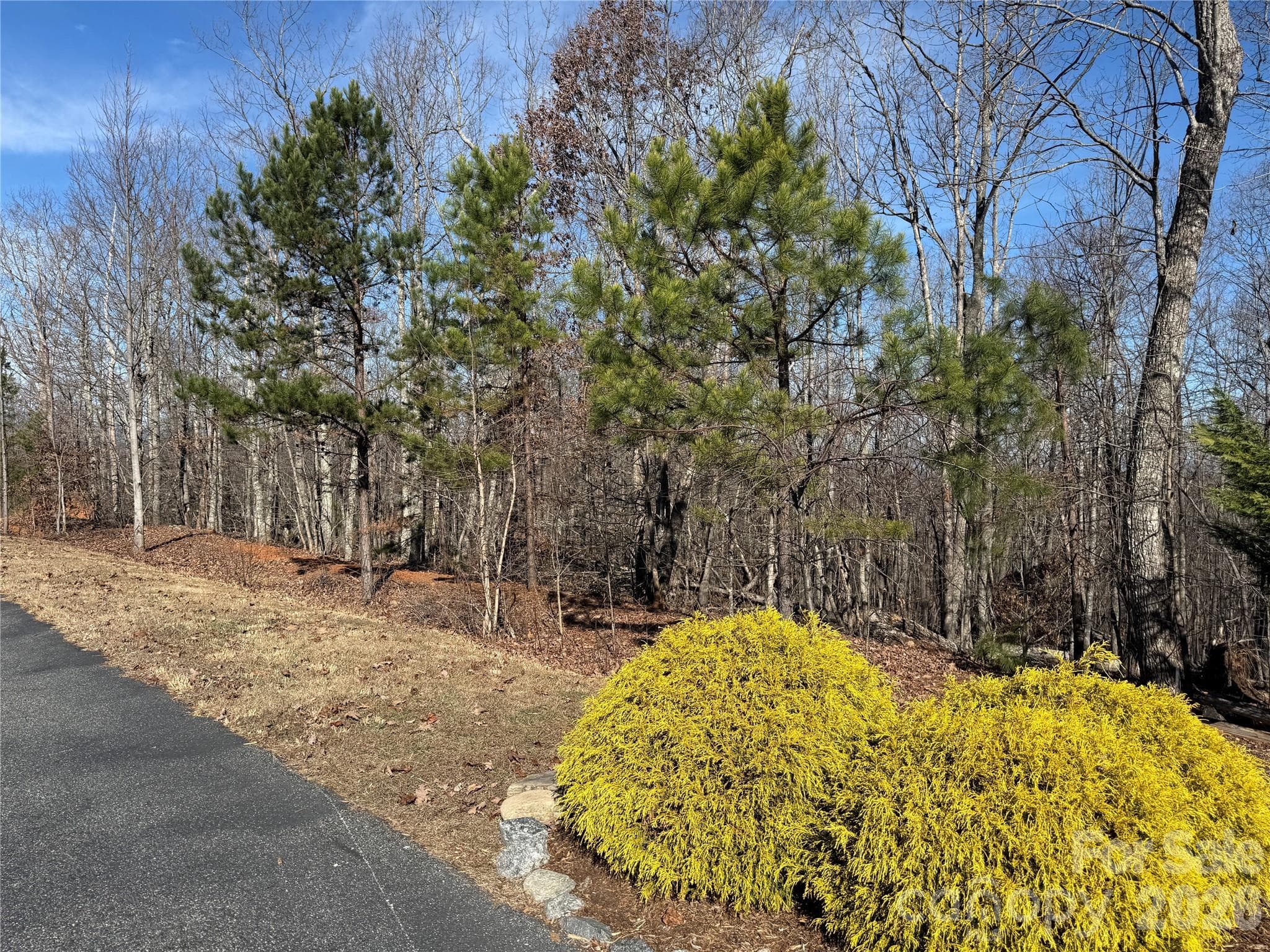 Lot at Nebo, photo 10 of 23