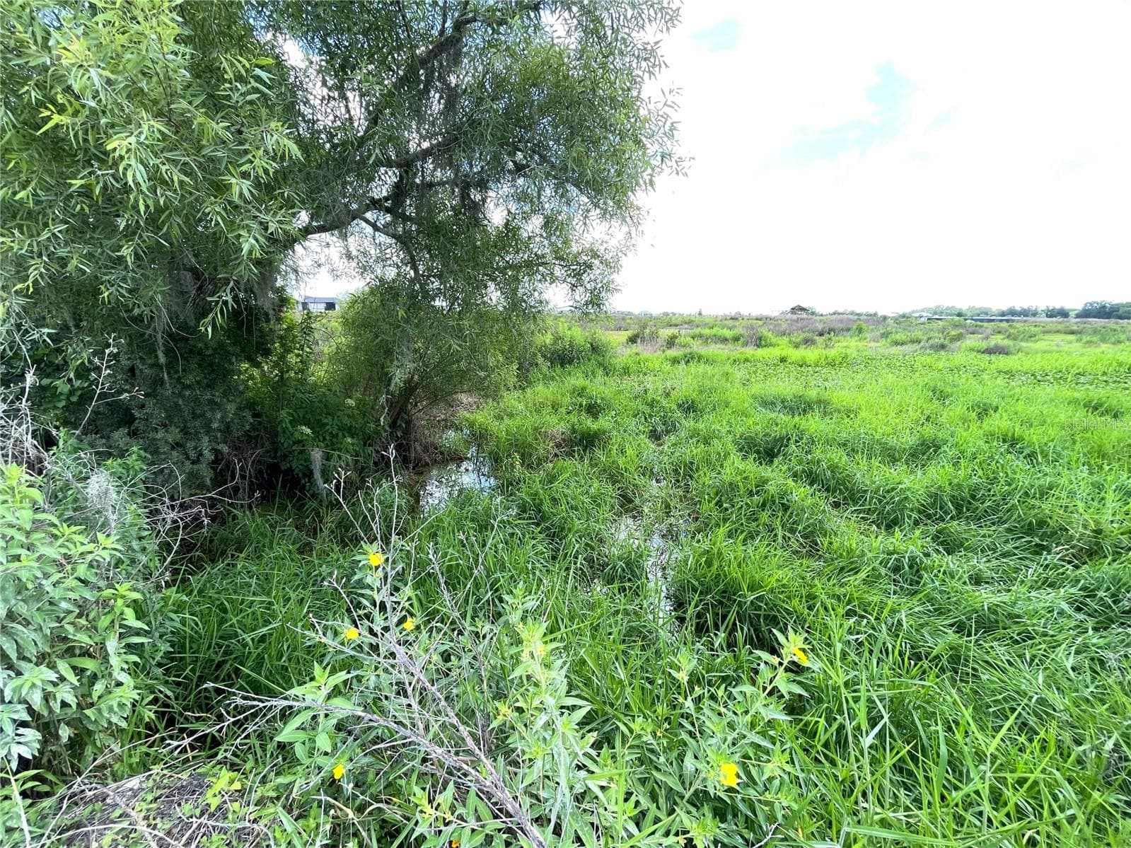 Land at WAUCHULA RD, MYAKKA CITY, photo 2 of 7