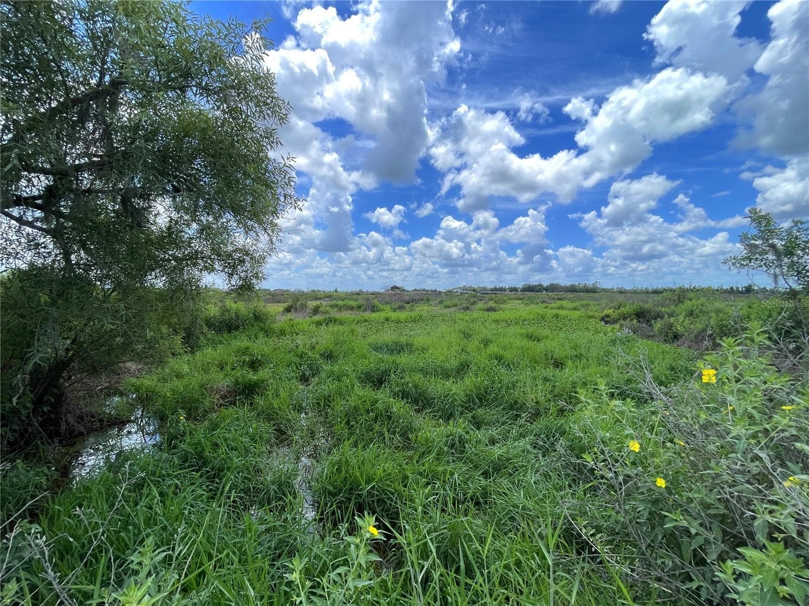 Land at WAUCHULA RD, MYAKKA CITY, photo 3 of 7