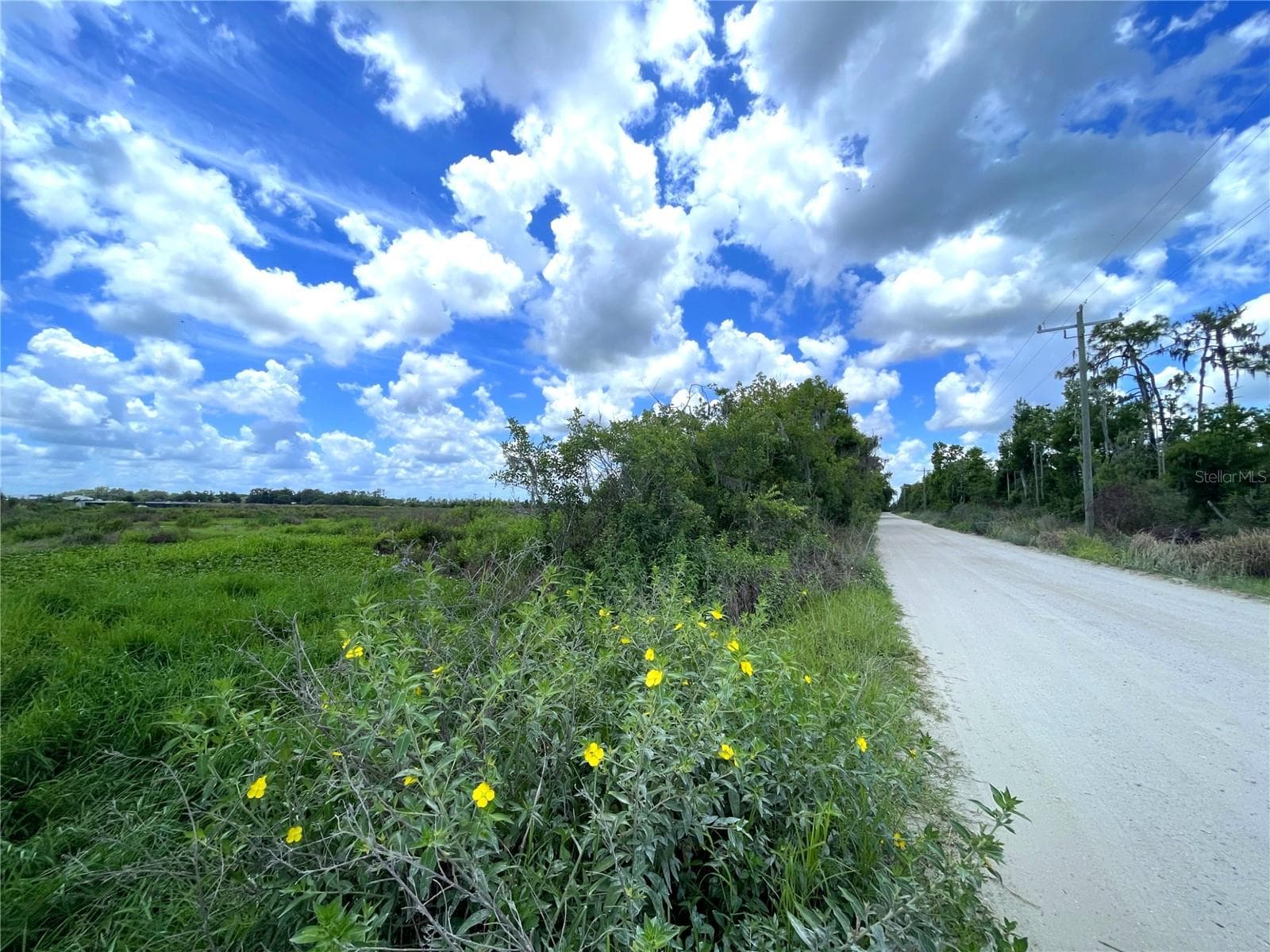 Wauchula Rd - WAUCHULA RD, MYAKKA CITY
