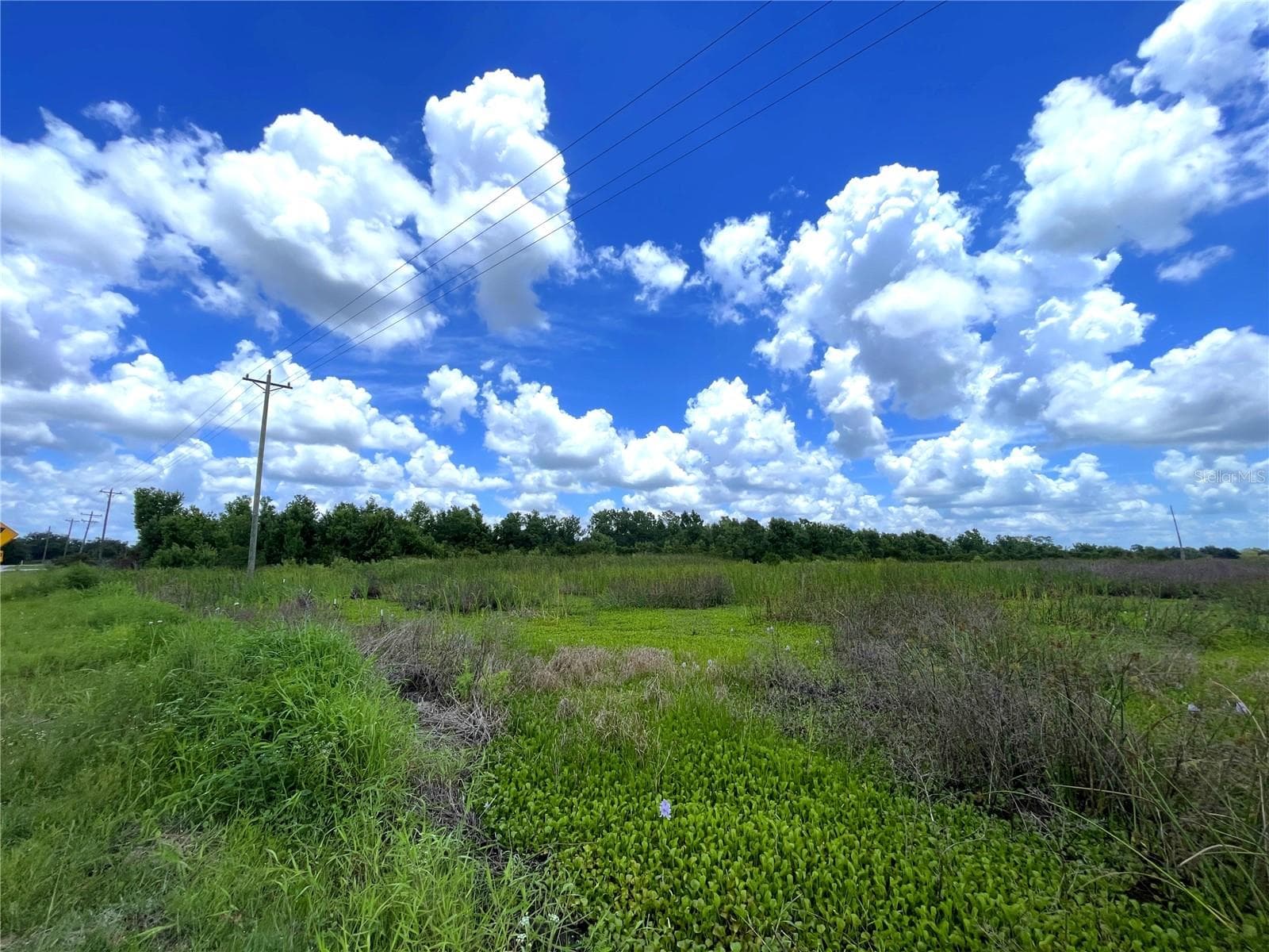 Land at WAUCHULA RD, MYAKKA CITY, photo 5 of 7