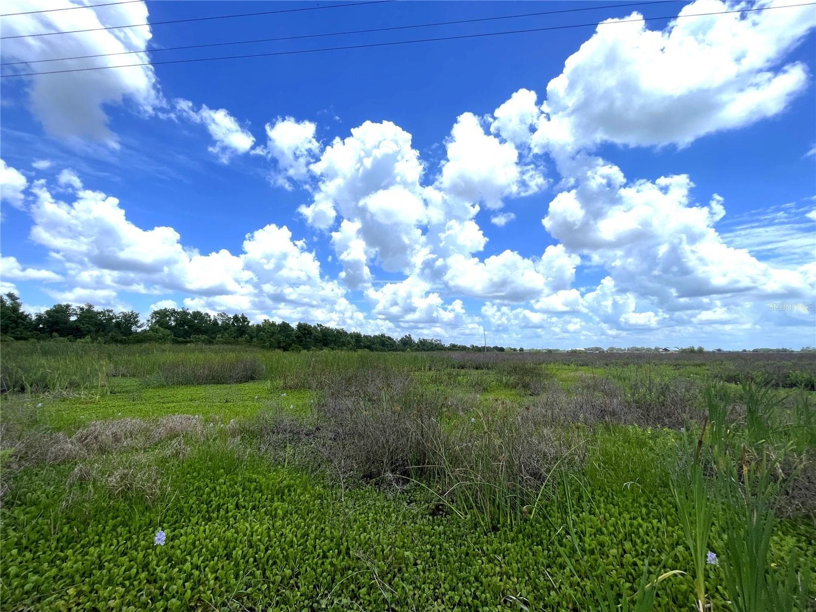 Land at WAUCHULA RD, MYAKKA CITY, photo 6 of 7