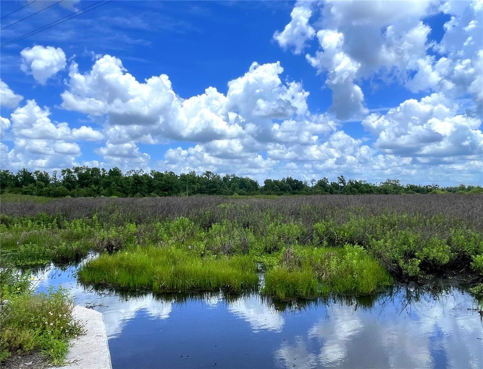 Creek - WAUCHULA RD, MYAKKA CITY
