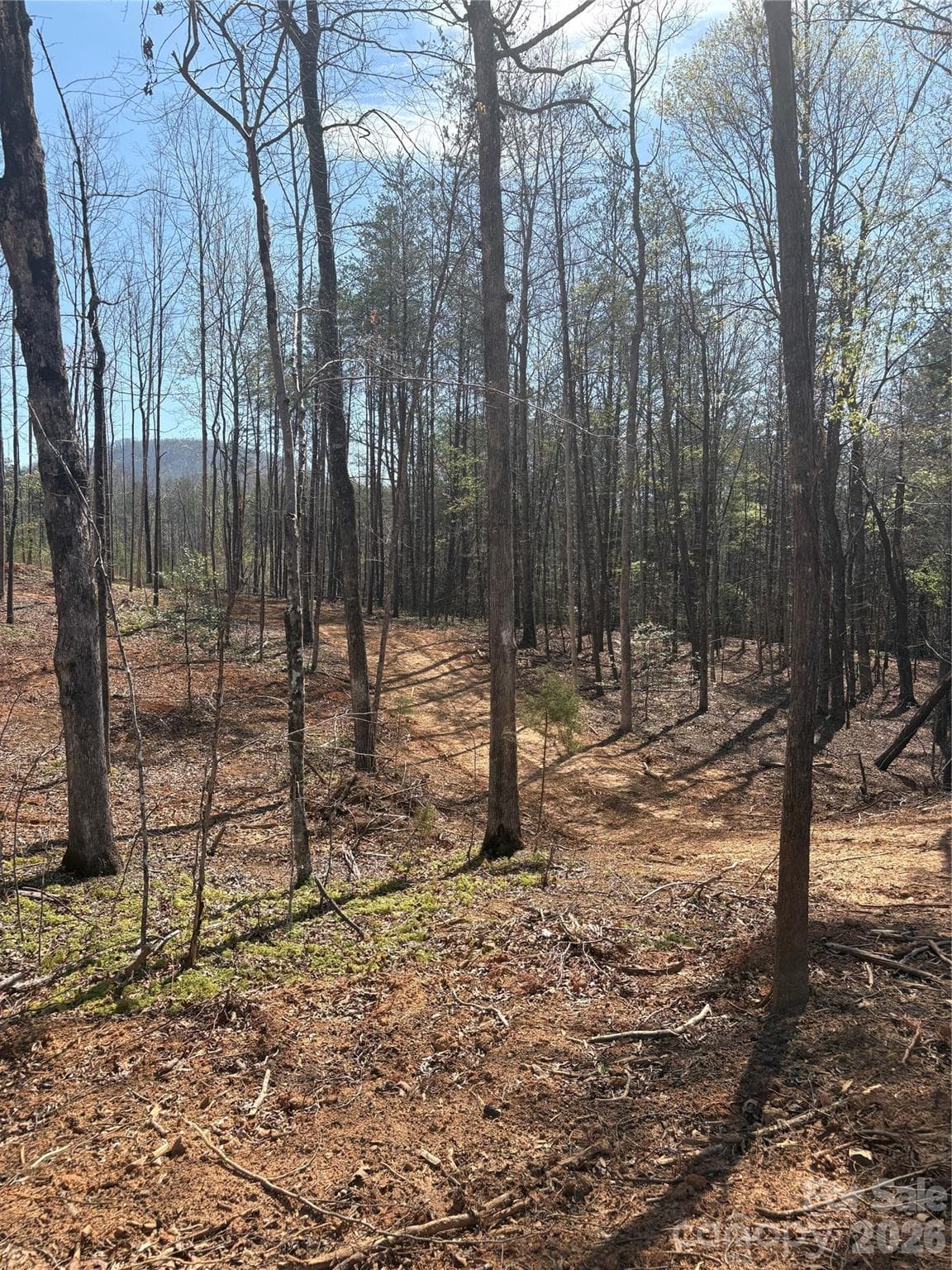Lot at Morganton, photo 2 of 3