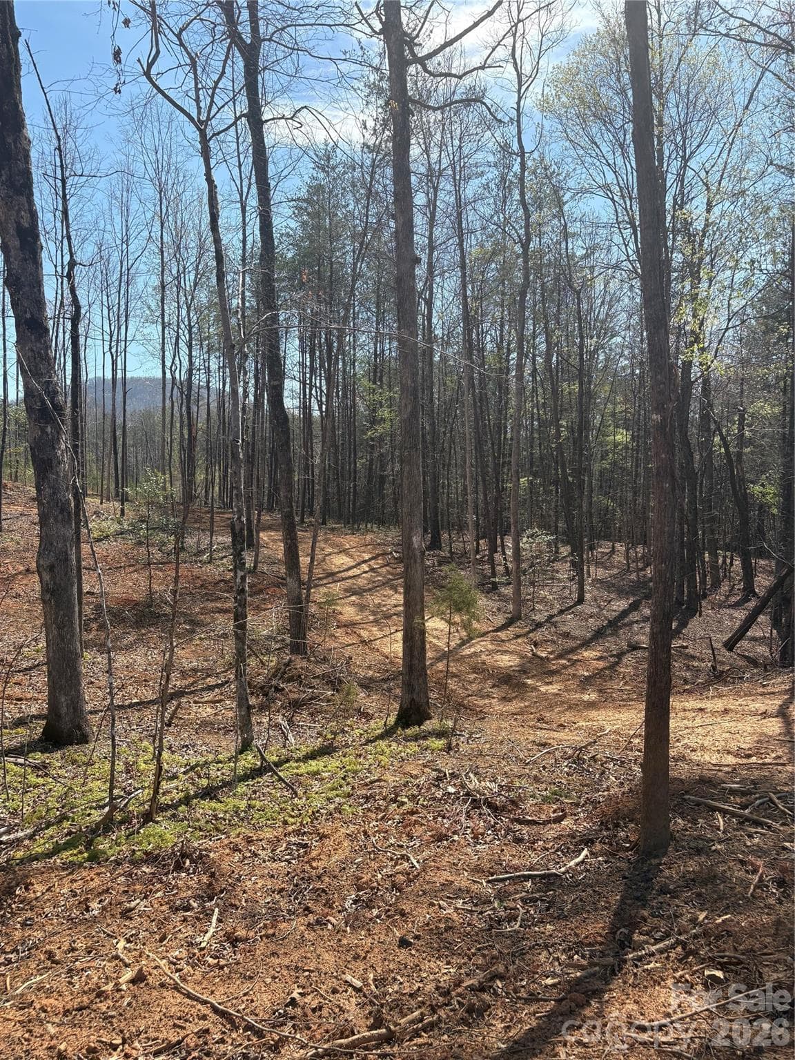 Lot at Morganton, photo 3 of 3