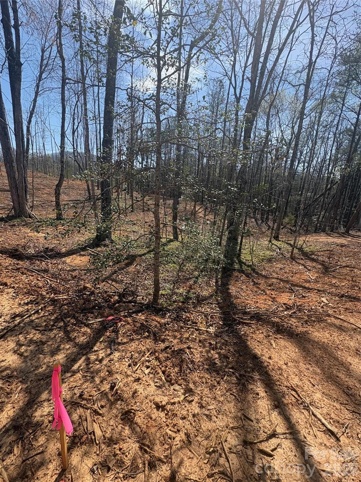 Lot at Morganton, photo 2 of 2
