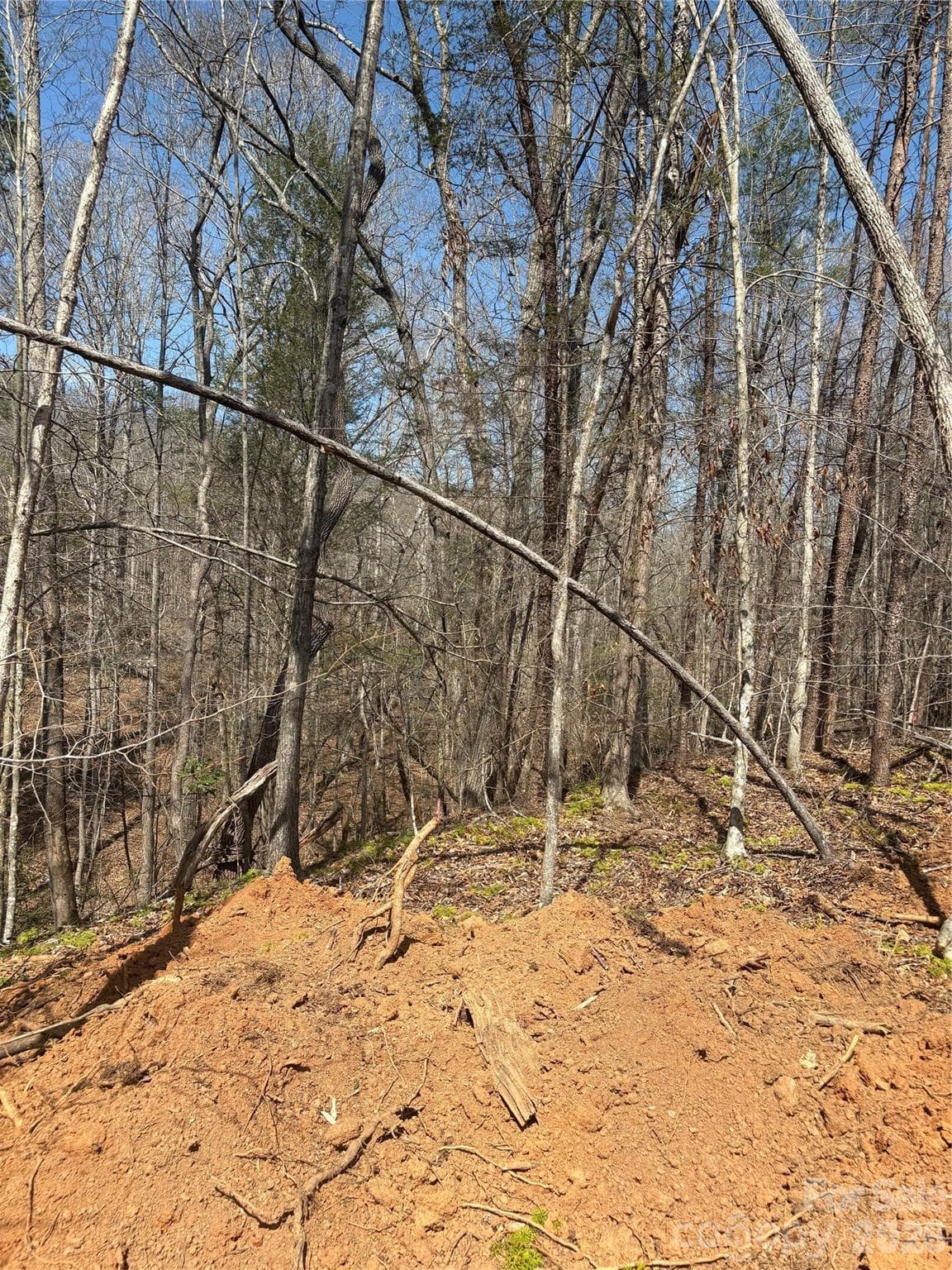 Lot at Morganton, photo 2 of 4
