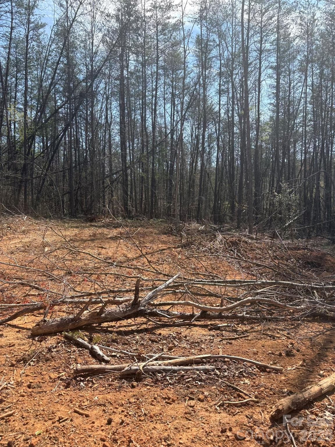 Lot at Morganton, photo 3 of 4