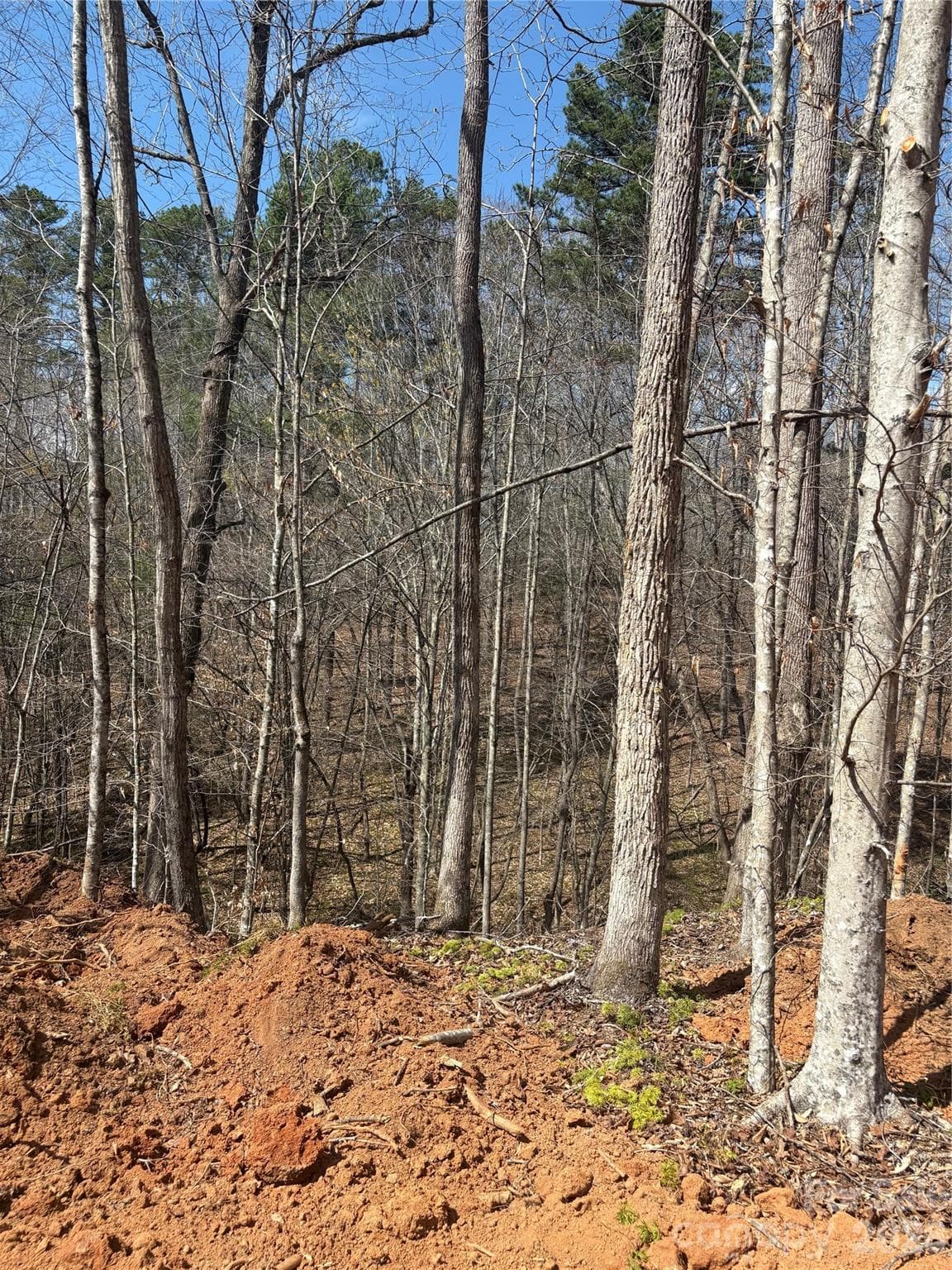 Lot at Morganton, photo 4 of 4