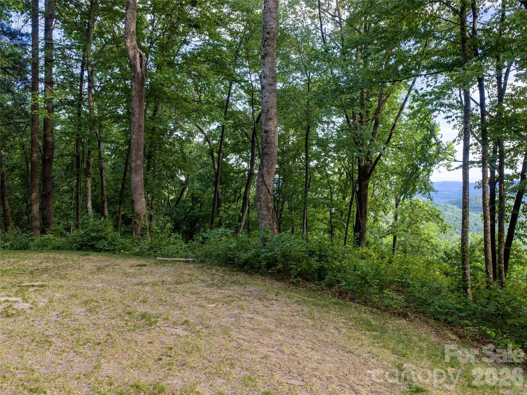 Lot at 000 New Sprout Lane, Hendersonville, photo 3 of 35