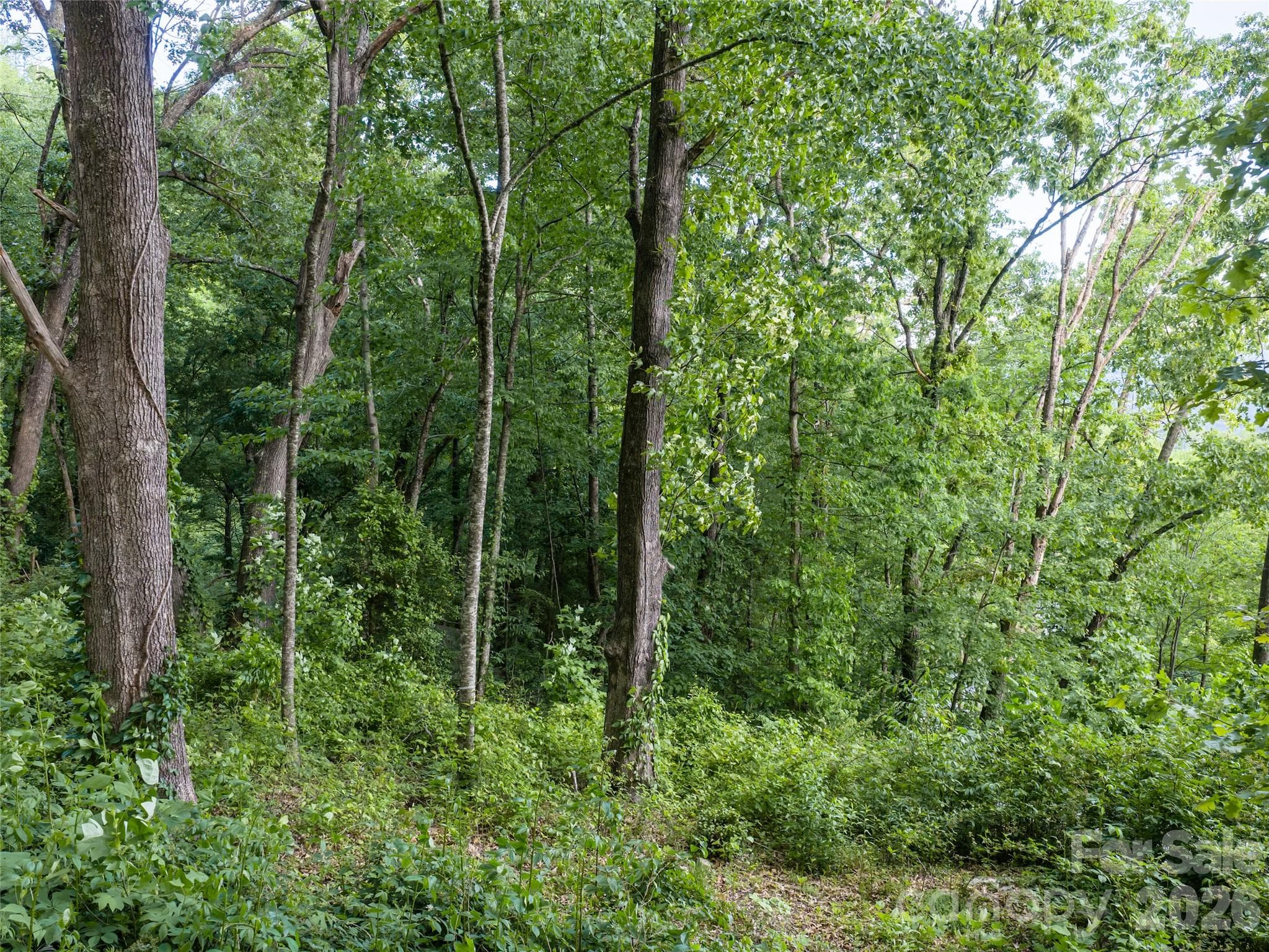 Lot at 000 New Sprout Lane, Hendersonville, photo 9 of 35