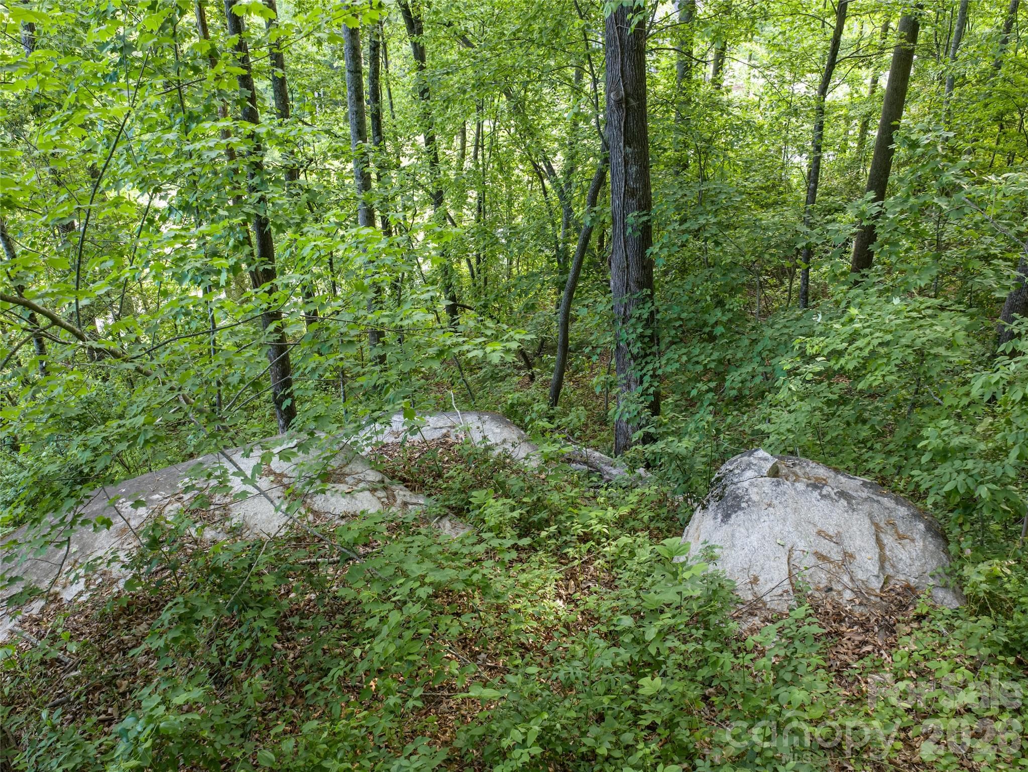 Lot at 000 New Sprout Lane, Hendersonville, photo 15 of 35