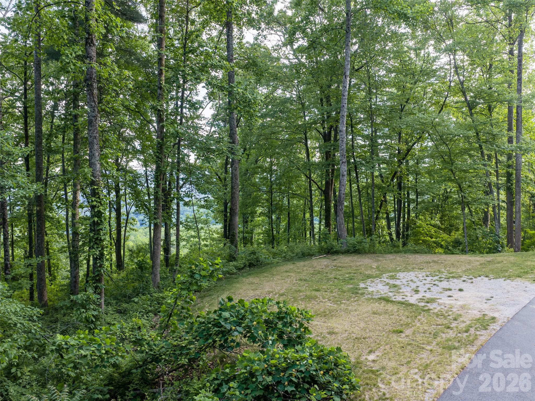 Lot at 000 New Sprout Lane, Hendersonville, photo 29 of 35