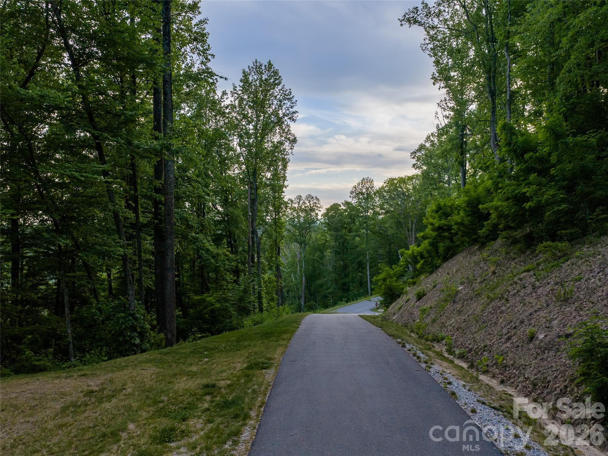 Lot at 000 New Sprout Lane, Hendersonville, photo 30 of 35