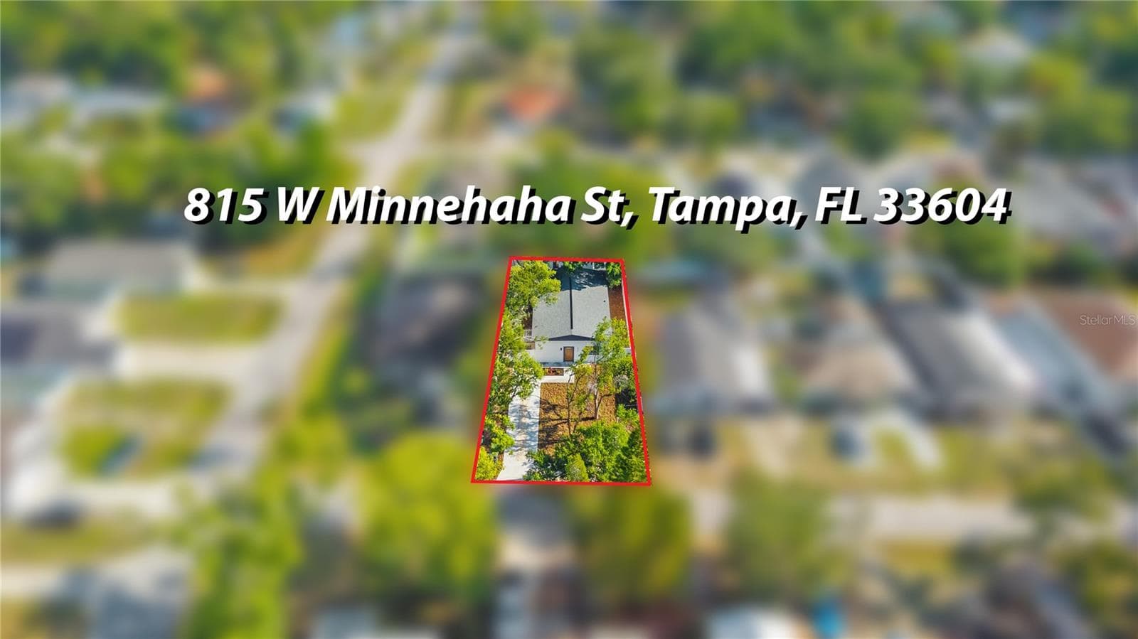 Single Family Residence at 815 W MINNEHAHA ST, TAMPA, photo 34 of 37