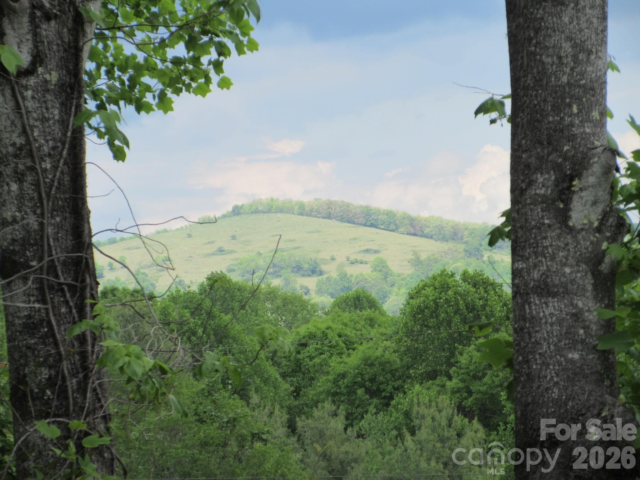 0 Rocky Top Trail