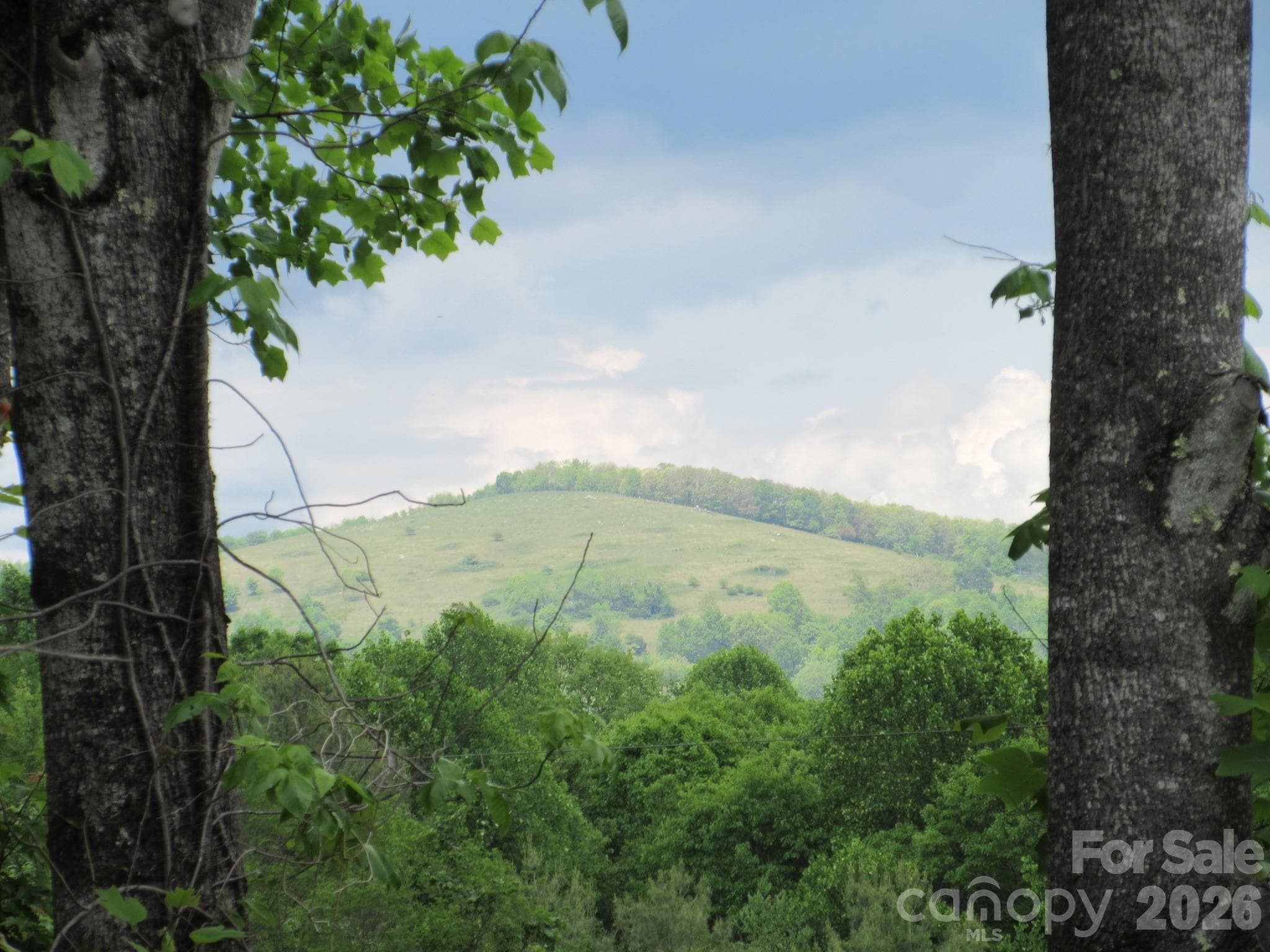 Potential View - 0 Rocky Top Trail, Hot Springs
