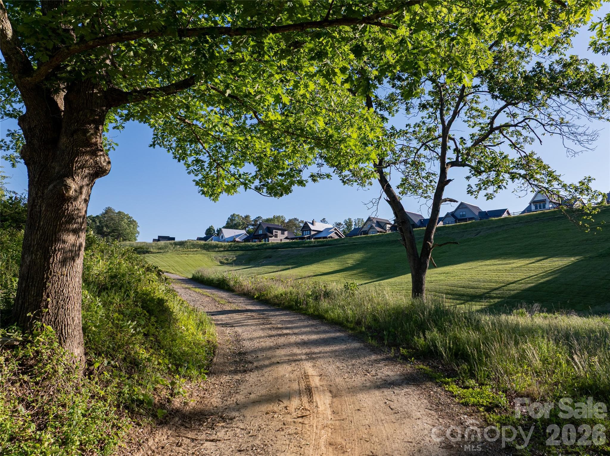 Community View - Asheville
