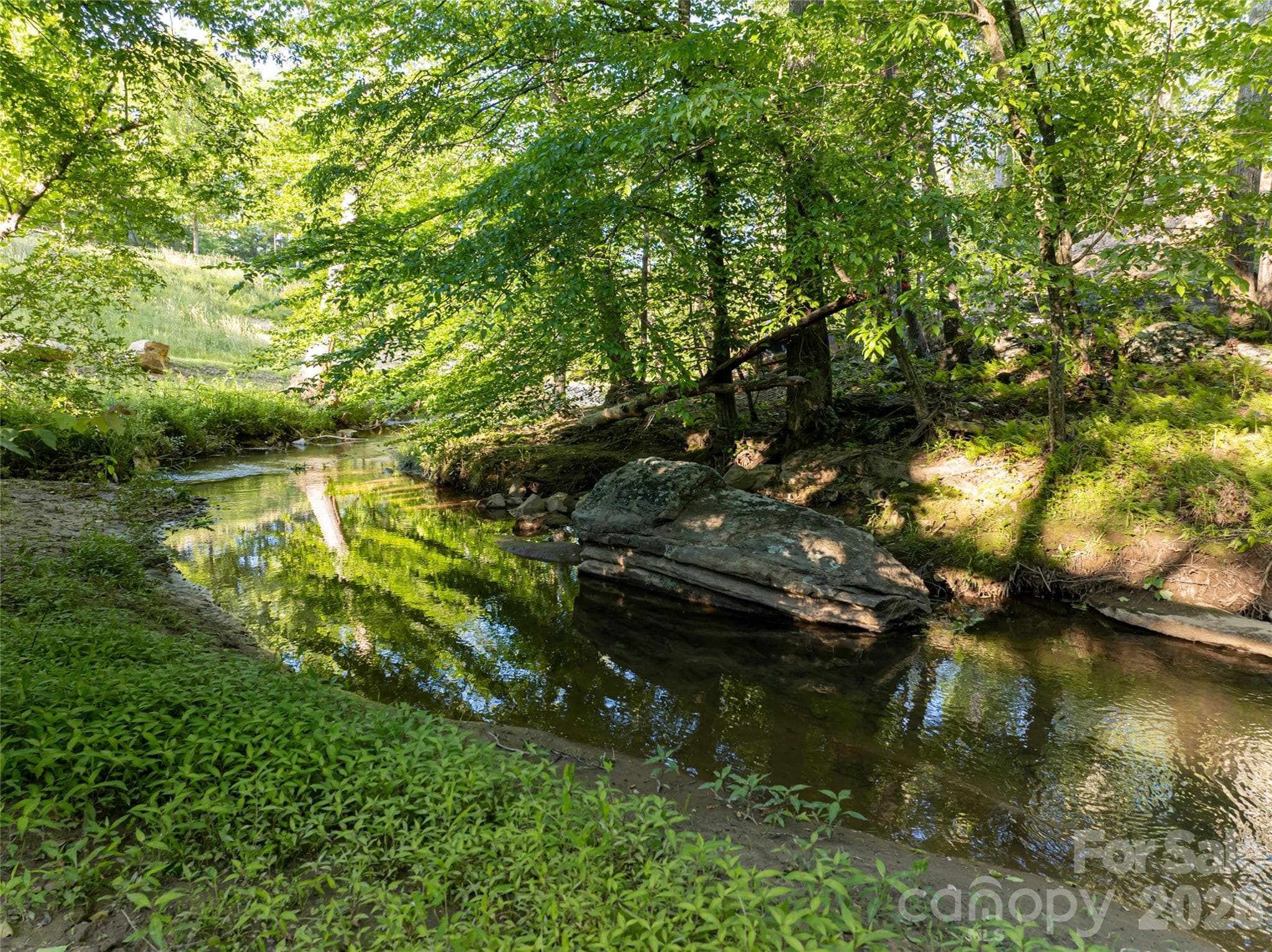 Community View - Asheville