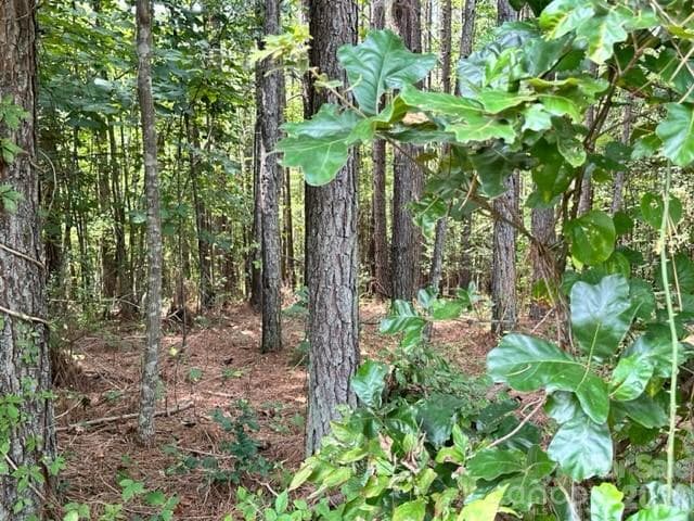 Lot at 100 Shortoff Trail NW, Valdese, photo 3 of 17