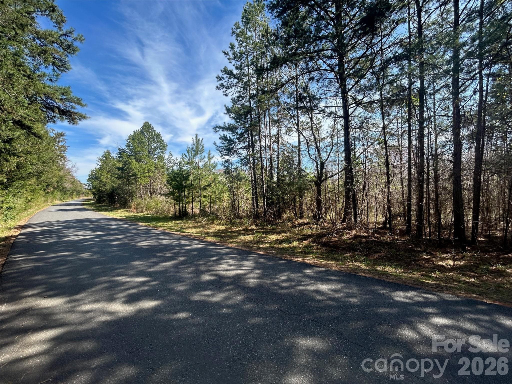 Green Pond Rd. - property on right side - TBD Green Pond Road, Indian Land