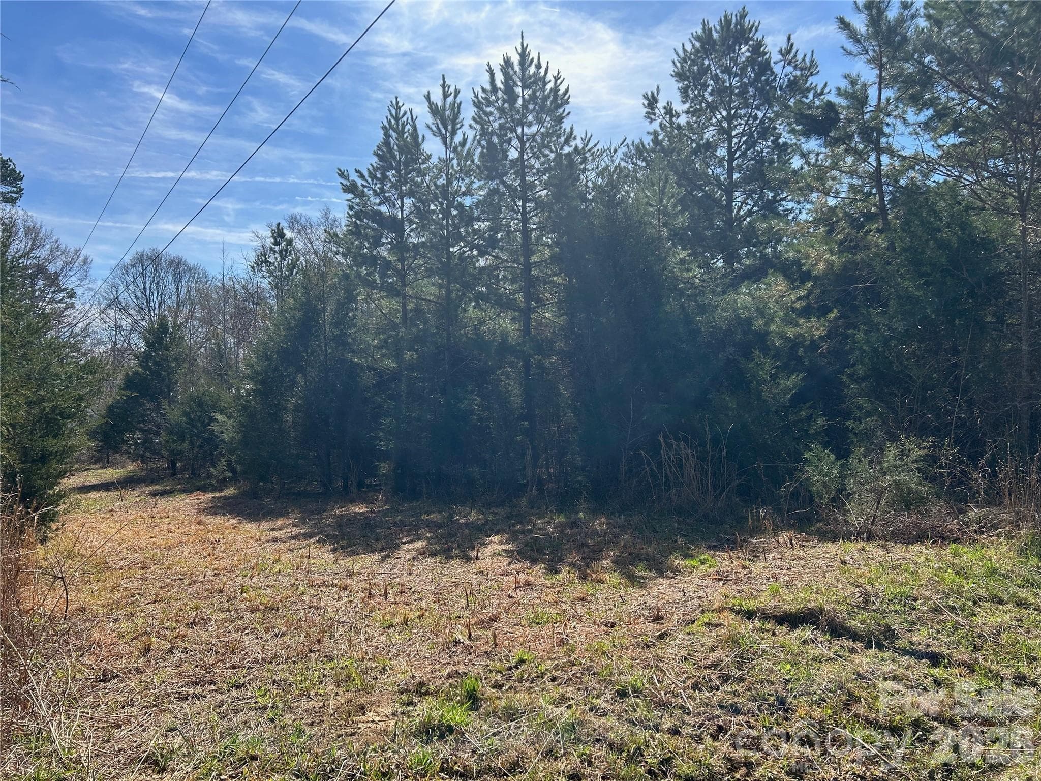 Acreage at TBD Green Pond Road, Indian Land, photo 3 of 24