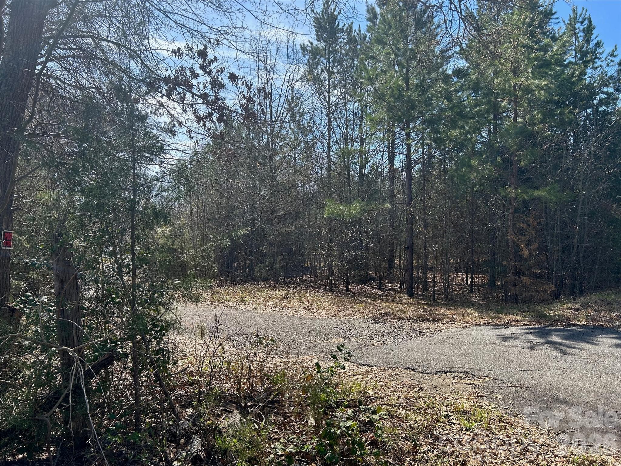 Easement to house located in the middle of parcel - not part of this sale - TBD Green Pond Road, Indian Land