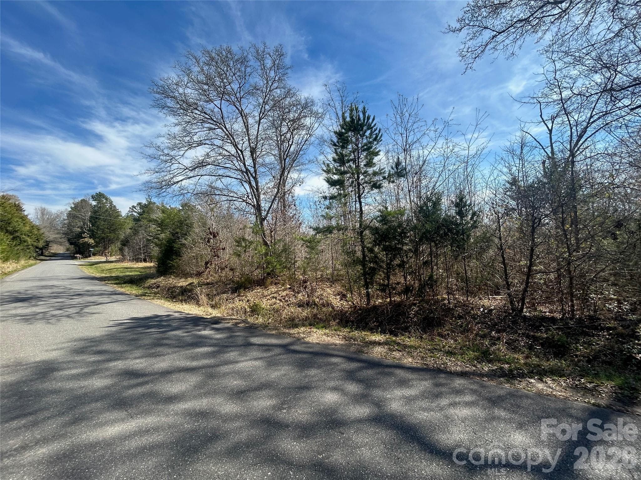 View to John Short Rd ahead on right - TBD Green Pond Road, Indian Land