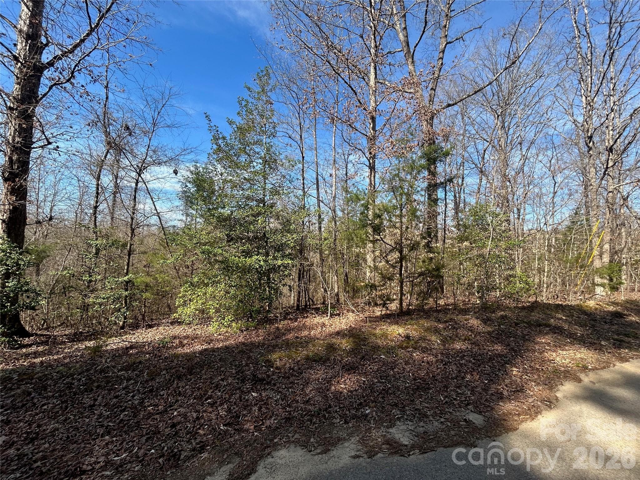 Acreage at TBD Green Pond Road, Indian Land, photo 18 of 24