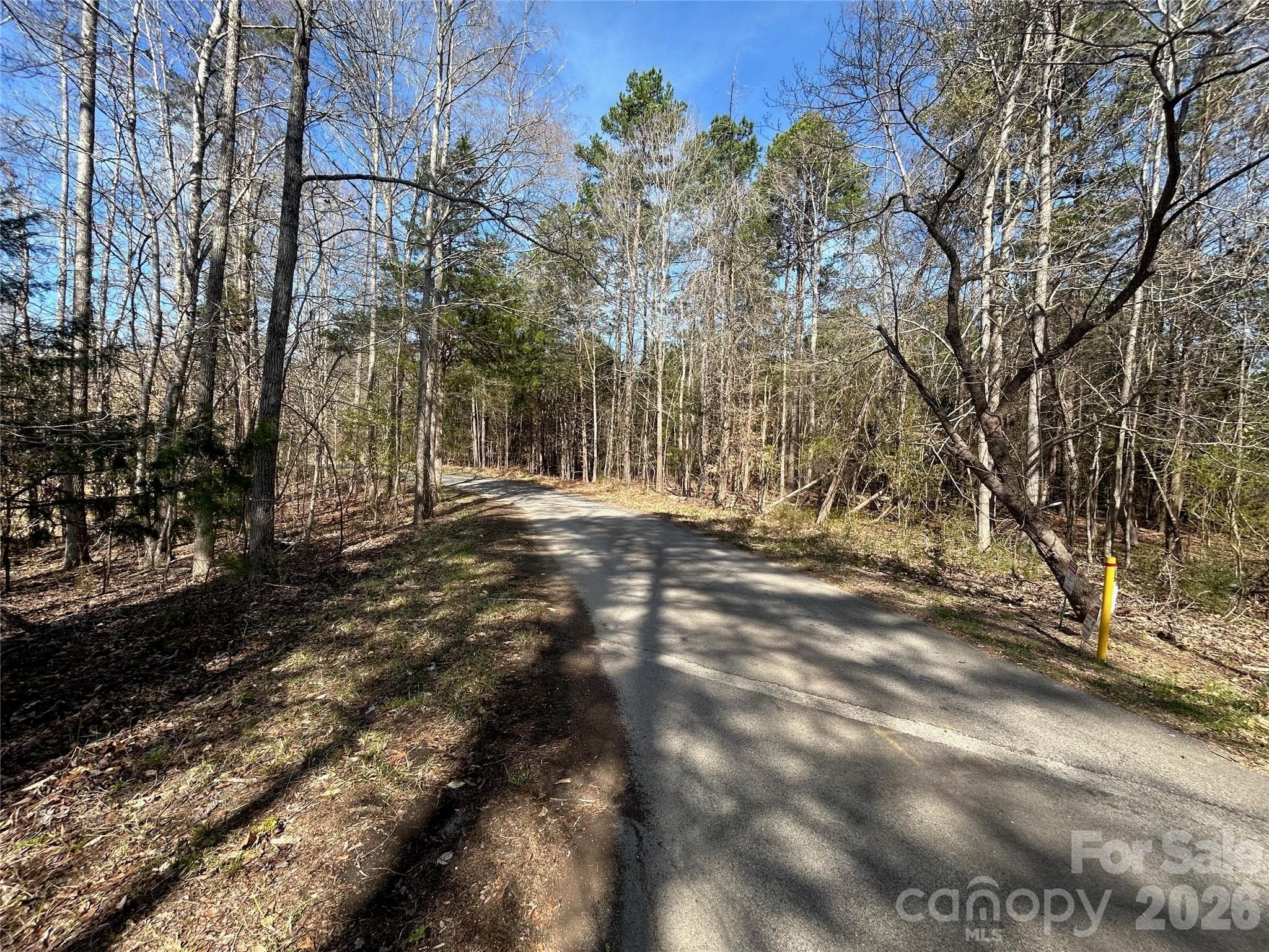 Parcel on both sides of John Short - TBD Green Pond Road, Indian Land