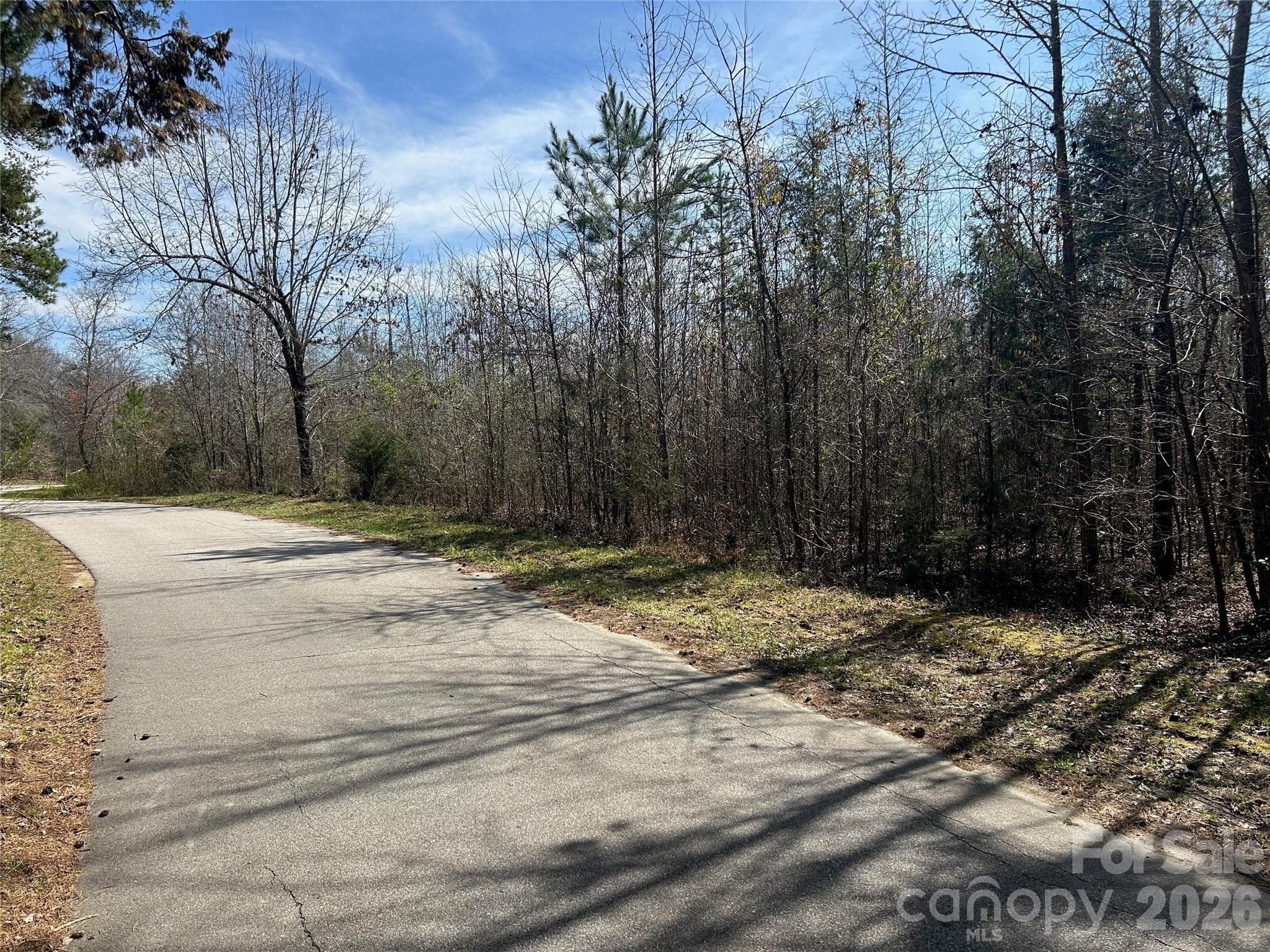 Acreage at TBD Green Pond Road, Indian Land, photo 21 of 24