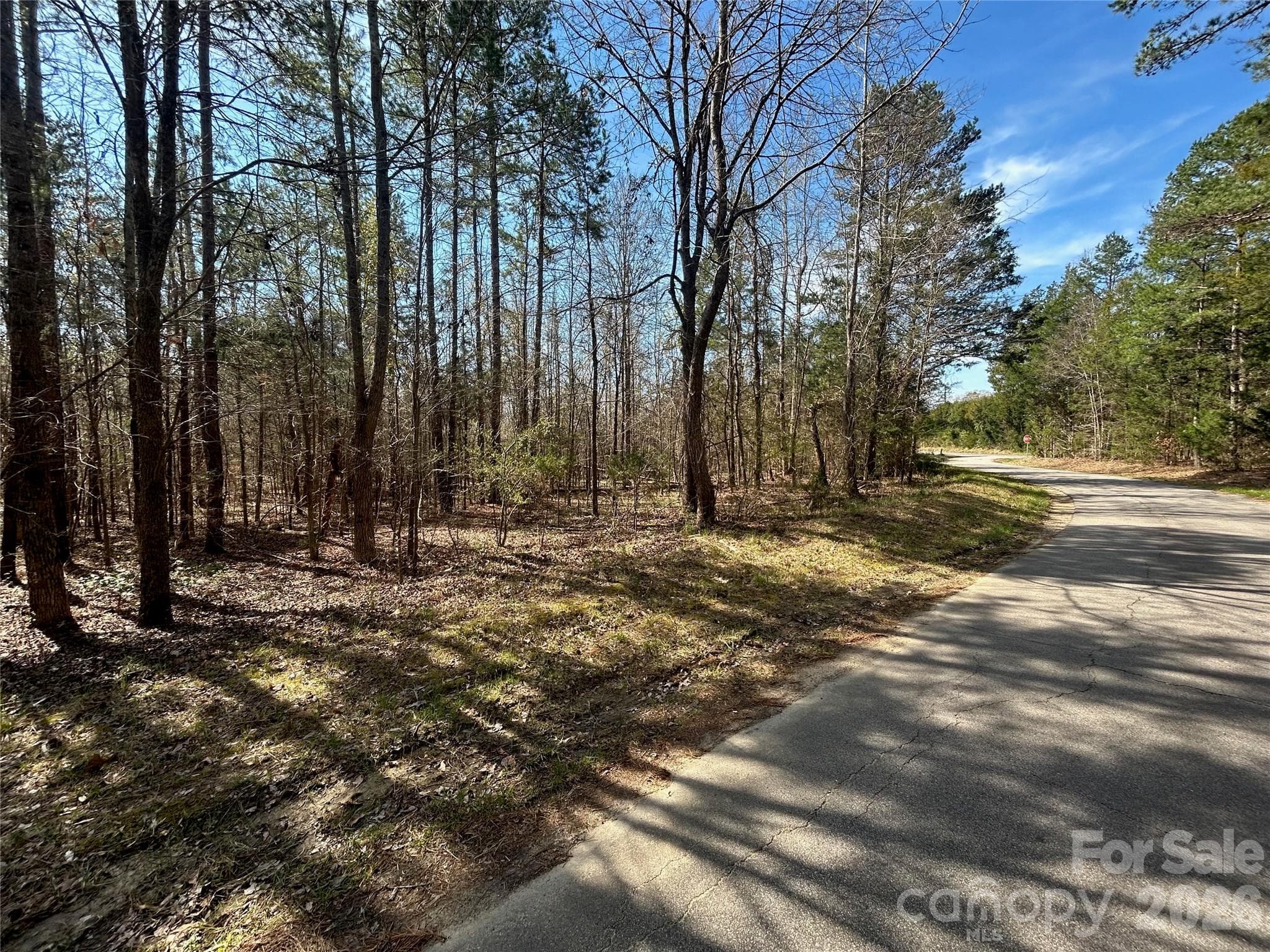 Acreage at TBD Green Pond Road, Indian Land, photo 22 of 24