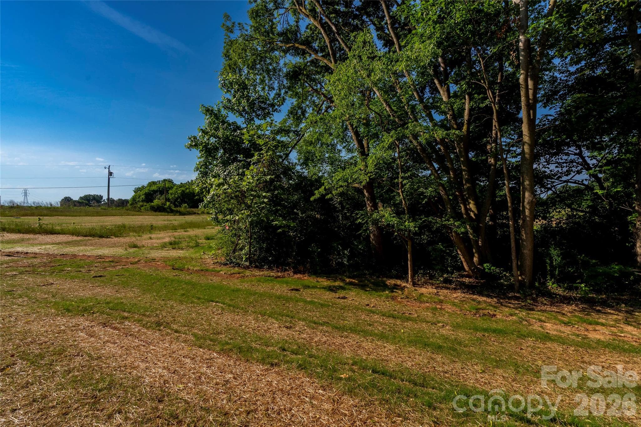 Single Family Residence at 3004 Buffet Lane, Monroe, photo 8 of 40