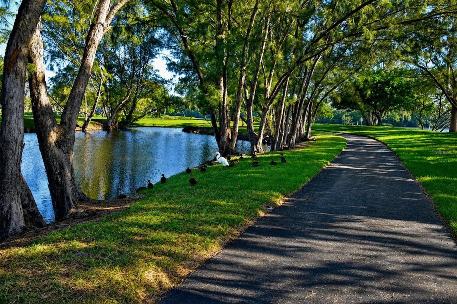 Mt Vernon bay front park lake along walking path - 4809 INDEPENDENCE DR, BRADENTON