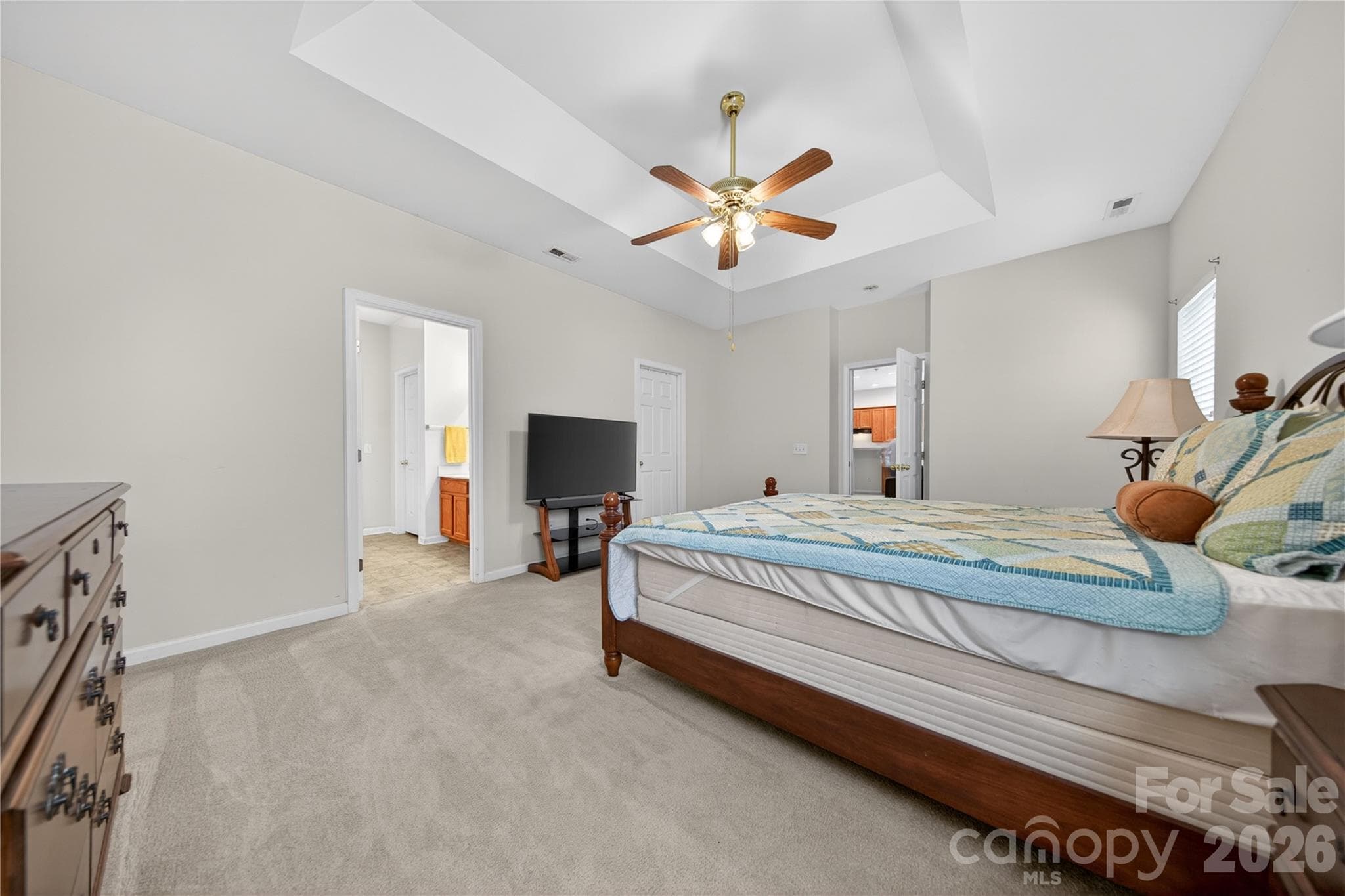Tray Ceiling - 533 Fair Oaks Drive, Fort Mill