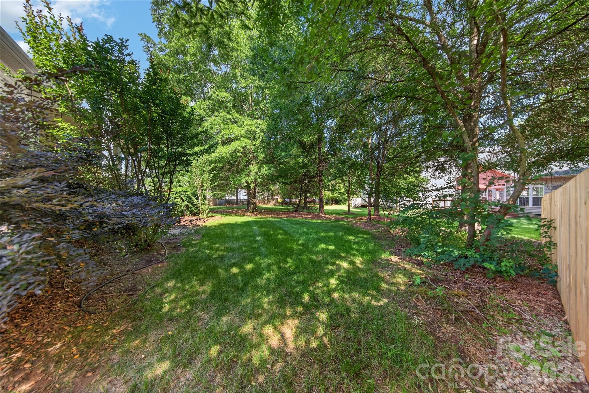 Backyard - 533 Fair Oaks Drive, Fort Mill