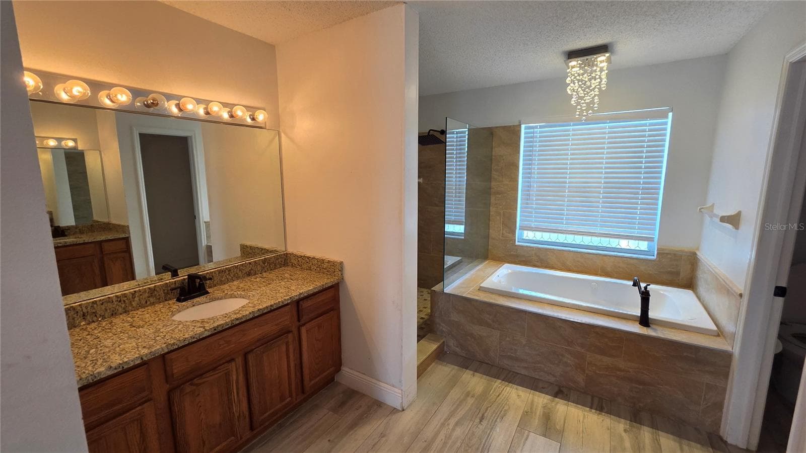 Master Bath - 10422 GLEN WILLOW LN, TAMPA