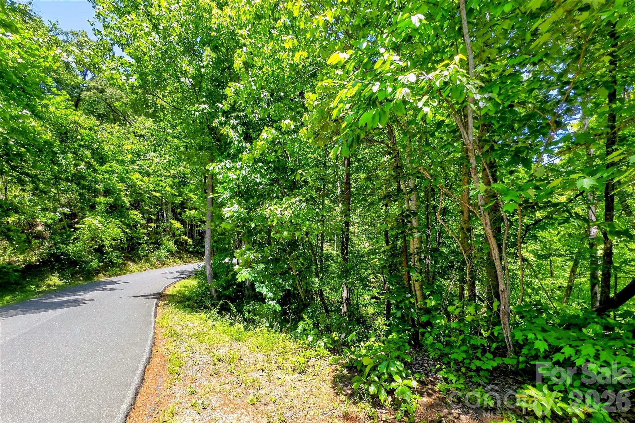 Acreage at Lake Lure, photo 4 of 34